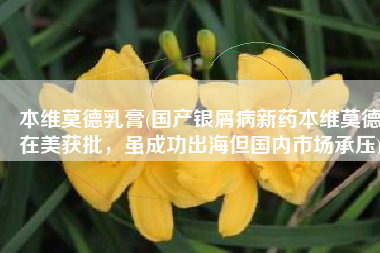 本维莫德乳膏(国产银屑病新药本维莫德在美获批，虽成功出海但国内市场承压)