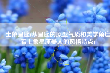 土象星座(从星座的原型气质和美学角度看土象星座美人的风格特点)