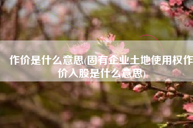 作价是什么意思(固有企业土地使用权作价入股是什么意思)