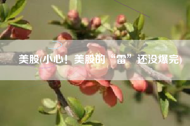 美股(小心！美股的“雷”还没爆完)