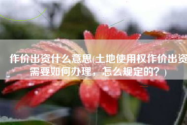 作价出资什么意思(土地使用权作价出资需要如何办理，怎么规定的？)