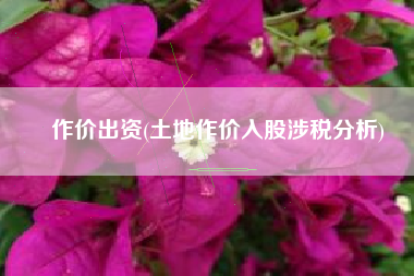 作价出资(土地作价入股涉税分析)