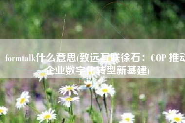 formtalk什么意思(致远互联徐石：COP 推动企业数字化转型新基建)