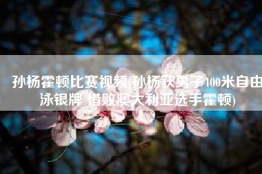 孙杨霍顿比赛视频(孙杨获男子400米自由泳银牌 惜败澳大利亚选手霍顿)