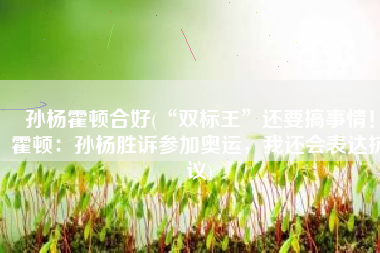 孙杨霍顿合好(“双标王”还要搞事情！霍顿：孙杨胜诉参加奥运，我还会表达抗议)