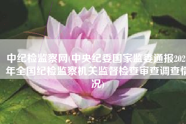 中纪检监察网(中央纪委国家监委通报2021年全国纪检监察机关监督检查审查调查情况)