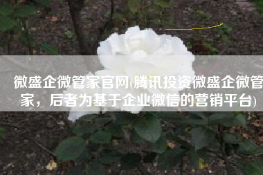 微盛企微管家官网(腾讯投资微盛企微管家，后者为基于企业微信的营销平台)