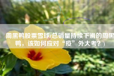 周黑鸭股票雪球(总销量持续下滑的周黑鸭，该如何应对“疫”外大考？)