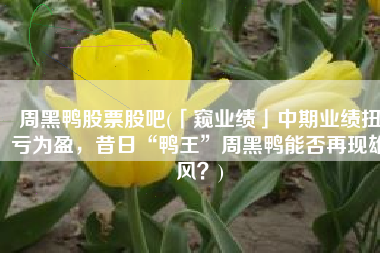 周黑鸭股票股吧(「窥业绩」中期业绩扭亏为盈，昔日“鸭王”周黑鸭能否再现雄风？)