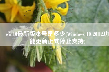 win10最新版本号是多少(Windows 10 20H2功能更新正式停止支持)