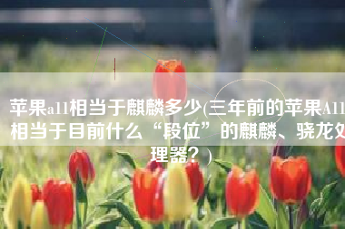 苹果a11相当于麒麟多少(三年前的苹果A11，相当于目前什么“段位”的麒麟、骁龙处理器？)