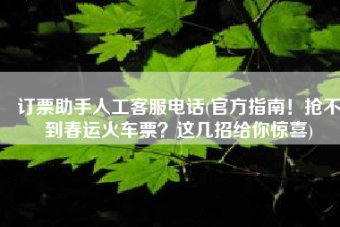 订票助手人工客服电话(官方指南！抢不到春运火车票？这几招给你惊喜)