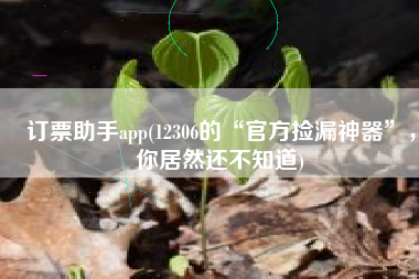 订票助手app(12306的“官方捡漏神器”，你居然还不知道)