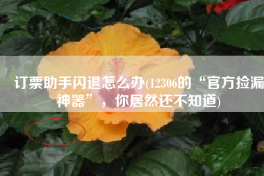 订票助手闪退怎么办(12306的“官方捡漏神器”，你居然还不知道)