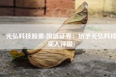 光弘科技股票(国信证券：给予光弘科技买入评级)