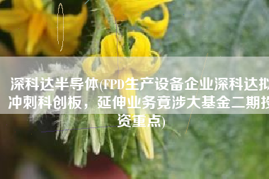 深科达半导体(FPD生产设备企业深科达拟冲刺科创板，延伸业务竟涉大基金二期投资重点)