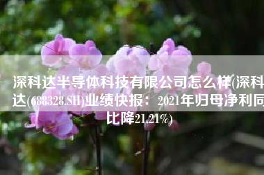 深科达半导体科技有限公司怎么样(深科达(688328.SH)业绩快报：2021年归母净利同比降21.21%)