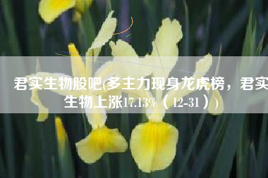 君实生物股吧(多主力现身龙虎榜，君实生物上涨17.13%（12-31）)