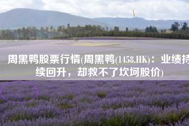 周黑鸭股票行情(周黑鸭(1458.HK)：业绩持续回升，却救不了坎坷股价)