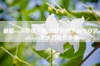 最新win10系统下载(微软官网下载与安装windows10系统的操作步骤)