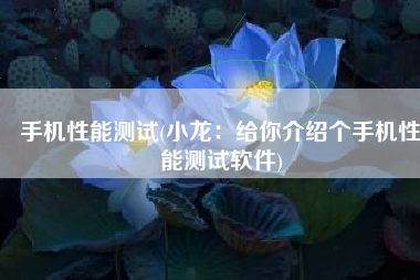 手机性能测试(小龙：给你介绍个手机性能测试软件)