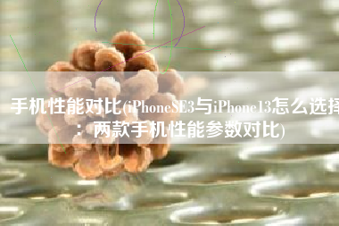 手机性能对比(iPhoneSE3与iPhone13怎么选择：两款手机性能参数对比)