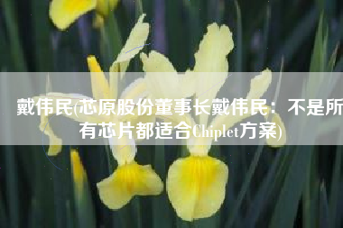 戴伟民(芯原股份董事长戴伟民：不是所有芯片都适合Chiplet方案)