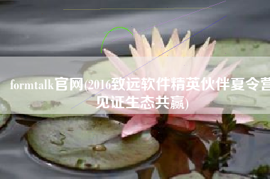 formtalk官网(2016致远软件精英伙伴夏令营见证生态共赢)