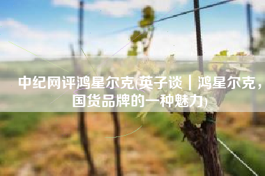 中纪网评鸿星尔克(英子谈｜鸿星尔克，国货品牌的一种魅力)