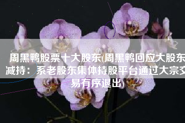 周黑鸭股票十大股东(周黑鸭回应大股东减持：系老股东集体持股平台通过大宗交易有序退出)