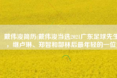 戴伟浚简历(戴伟浚当选2021广东足球先生，继卢琳、郑智和郜林后最年轻的一位)