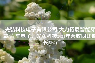 光弘科技电子有限公司(大力拓展智能穿戴/汽车电子，光弘科技2021年营收同比增长58%)