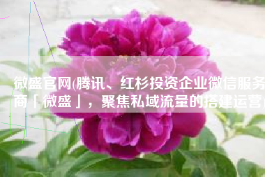 微盛官网(腾讯、红杉投资企业微信服务商「微盛」，聚焦私域流量的搭建运营)