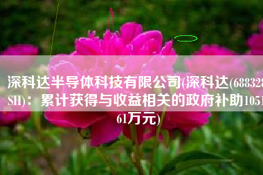 深科达半导体科技有限公司(深科达(688328.SH)：累计获得与收益相关的政府补助1051.61万元)