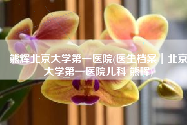 熊辉北京大学第一医院(医生档案｜北京大学第一医院儿科 熊晖)