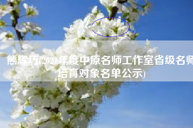 熊辉巧(2021年度中原名师工作室省级名师培育对象名单公示)