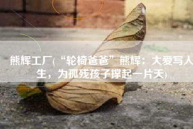 熊辉工厂(“轮椅爸爸”熊辉：大爱写人生，为孤残孩子撑起一片天)