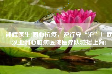 熊辉医生(同心抗疫，逆行守“沪”！武汉亚洲心脏病医院医疗队驰援上海)