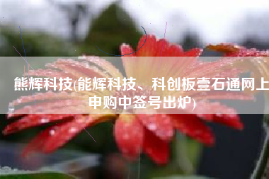 熊辉科技(能辉科技、科创板壹石通网上申购中签号出炉)