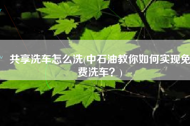 共享洗车怎么洗(中石油教你如何实现免费洗车？)