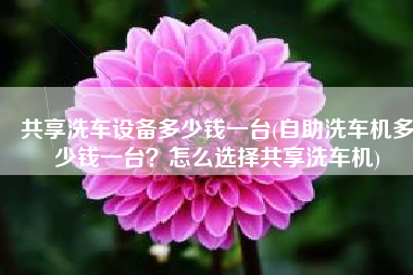 共享洗车设备多少钱一台(自助洗车机多少钱一台？怎么选择共享洗车机)