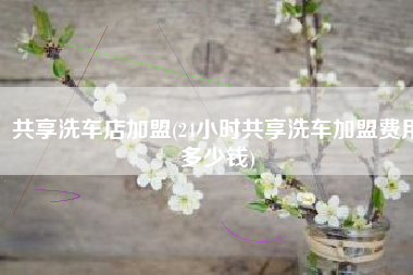 共享洗车店加盟(24小时共享洗车加盟费用多少钱)