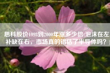 思科股价1998到2000年涨多少倍(泡沫在左，补缺在右，市场真的错估了半导体吗？)