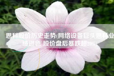思科股价历史走势(网络设备巨头思科业绩逊色 股价盘后暴跌超20%)