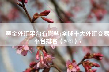 黄金外汇平台有哪些(全球十大外汇交易平台排名（2021）)