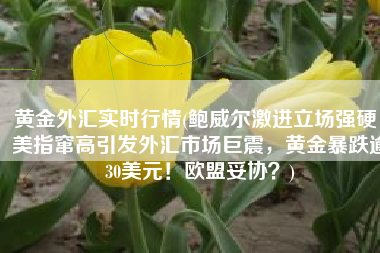 黄金外汇实时行情(鲍威尔激进立场强硬，美指窜高引发外汇市场巨震，黄金暴跌逾30美元！欧盟妥协？)