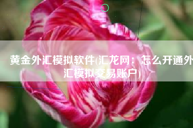 黄金外汇模拟软件(汇龙网：怎么开通外汇模拟交易账户)