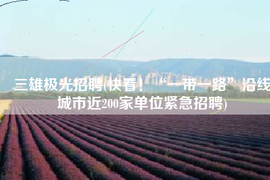 三雄极光招聘(快看！“一带一路”沿线城市近200家单位紧急招聘)