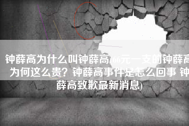 钟薛高为什么叫钟薛高(66元一支的钟薛高为何这么贵？钟薛高事件是怎么回事 钟薛高致歉最新消息)