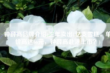 钟薛高品牌介绍(三年卖出1亿支雪糕，单价高达66元，钟薛高赴港上市？)